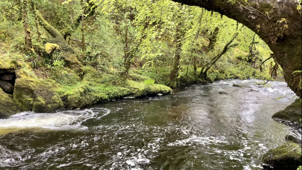 Glengarriff, Cork, Ireland