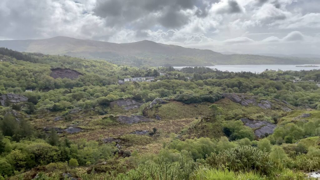 Glengarriff Woods Nature Reserve