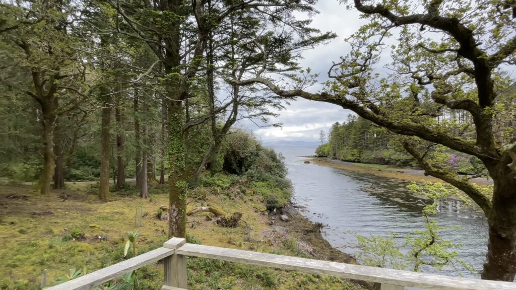 Derreen Garden, Kerry, Ireland