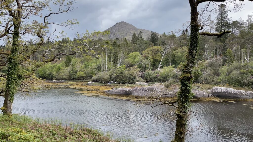 Derreen Garden, Kerry, Ireland