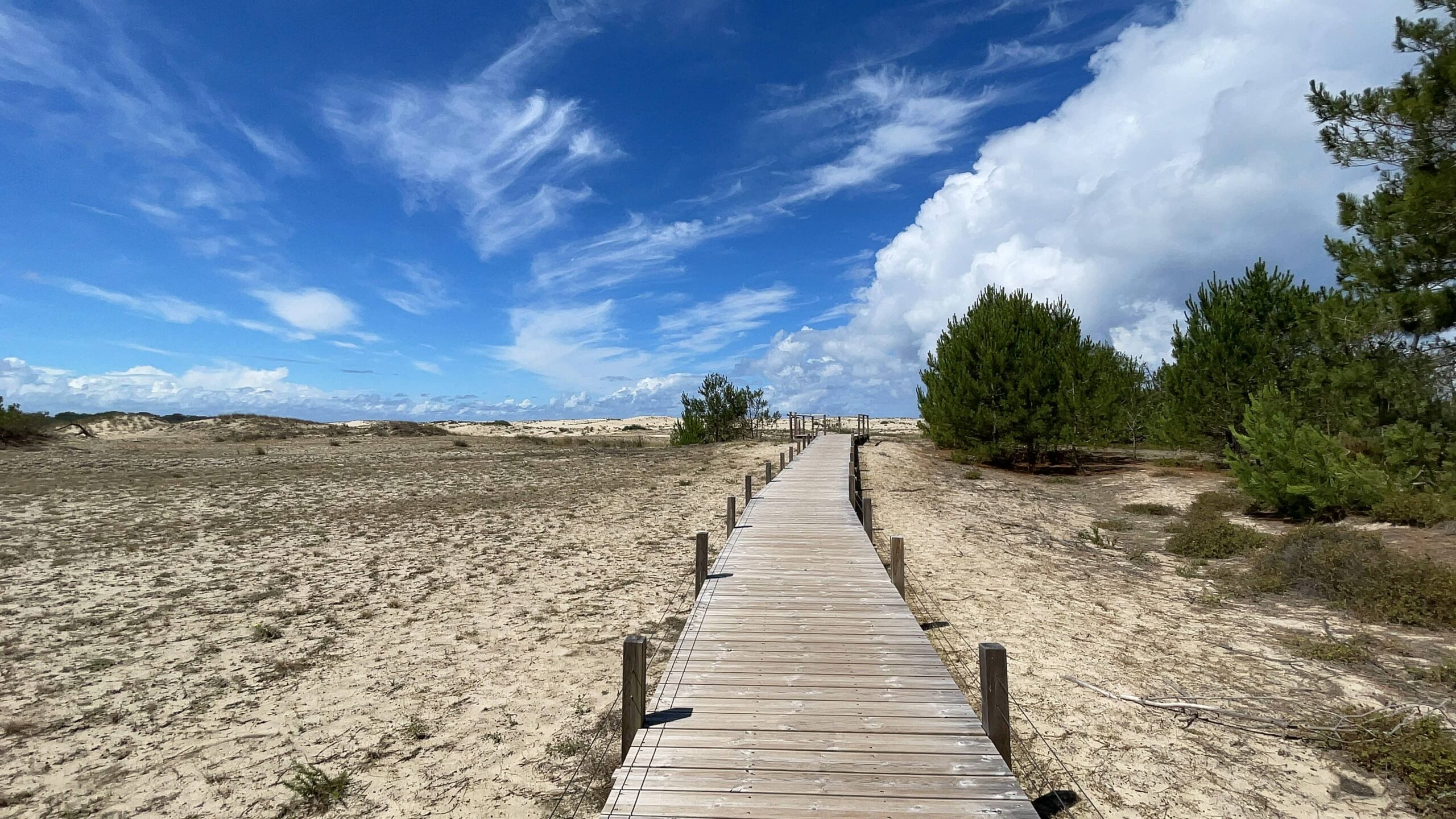 Plage du Vivier