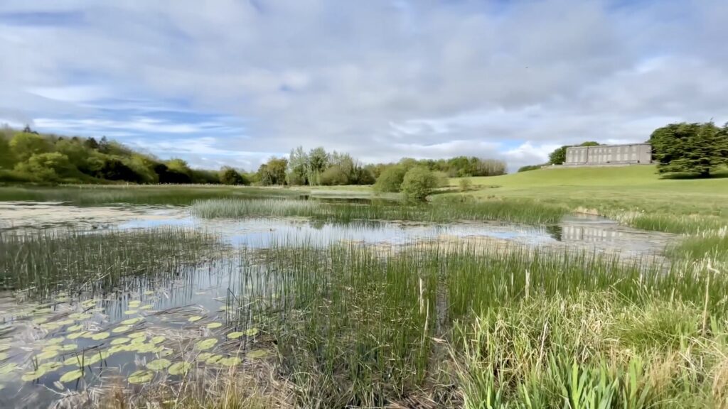 CurraghChase Forest Recreation Park - Limerick, Ireland