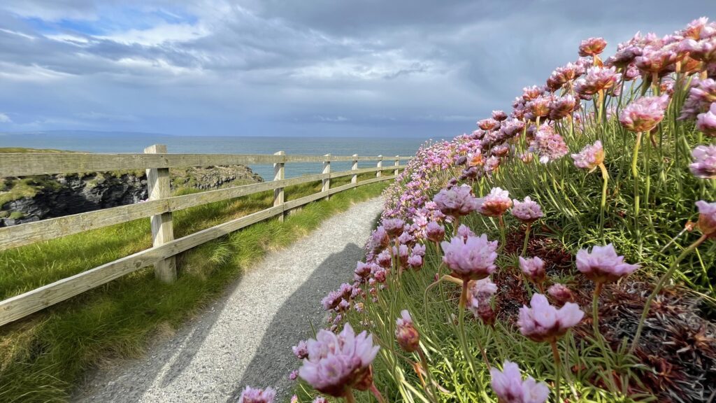 Ballybunnion Cliff Walk, Kerry, Ireland