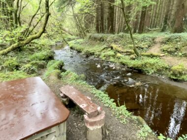 Glanageenty Forest, Kerry, Ireland