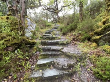 Glengarriff Woods Nature Reserve